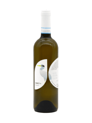 Falanghina del Sannio DOC Confine