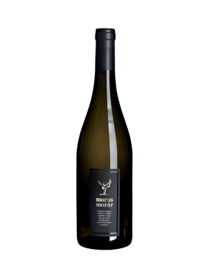 Morus Morâr vino bianco Friulano